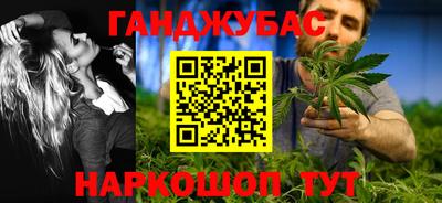индика Надым