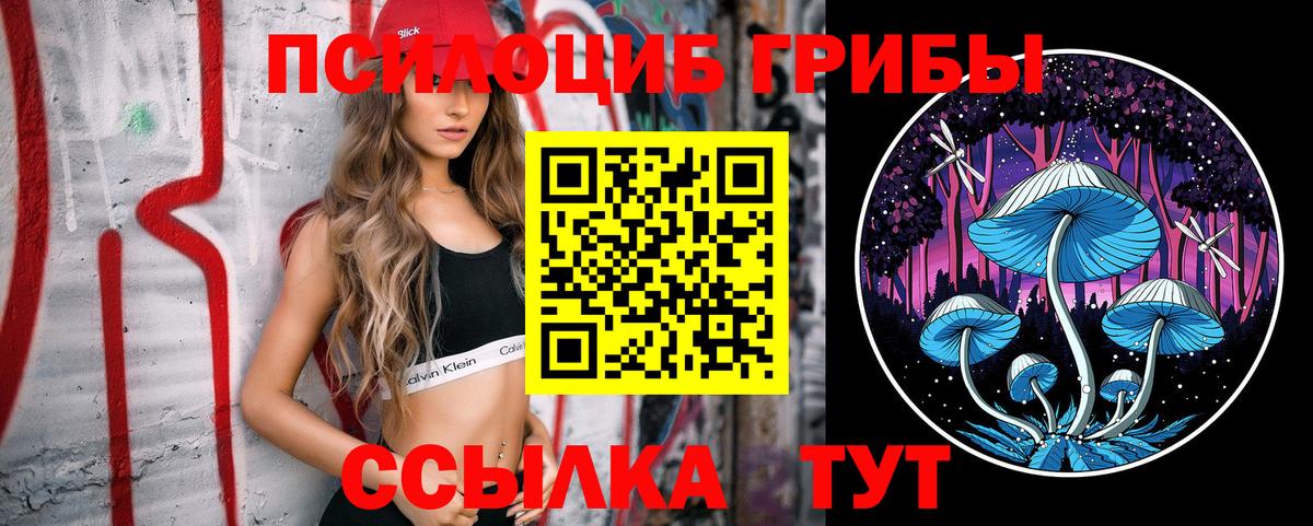 Псилоцибиновые грибы Magic Shrooms  Вход с VPN  Галлюциногенные грибы Psilocybine cubensis  Гулькевичи 
