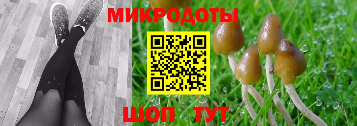 Псилоцибиновые грибы мицелий Гулькевичи