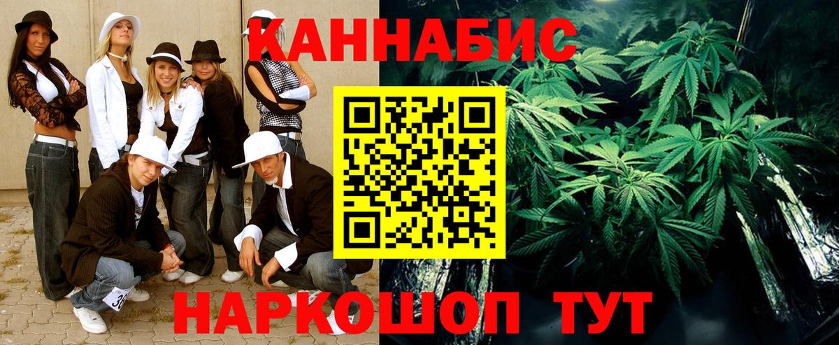 Гулькевичи  Бошки Шишки планчик  Каннабис сатива  Вход с VPN  Канабис AK-47 
